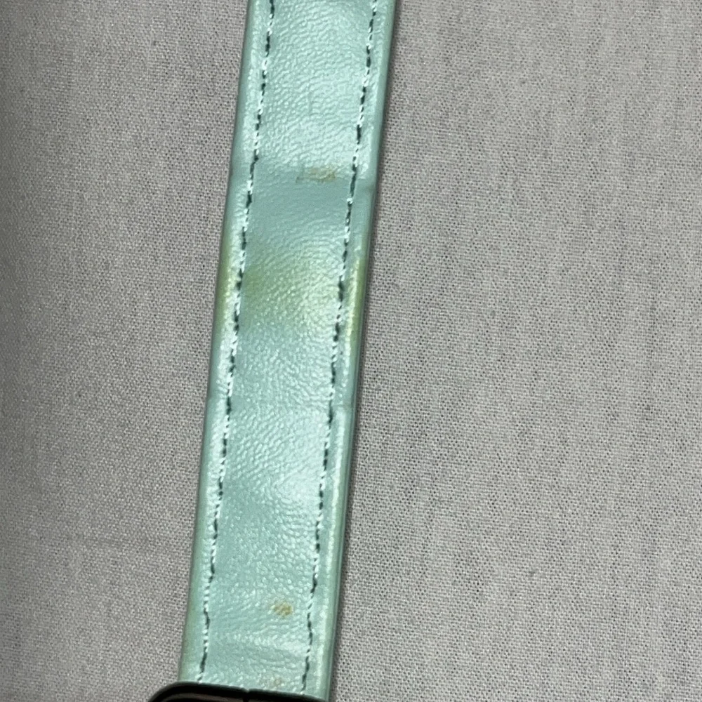 Instax mini camera mint green case only